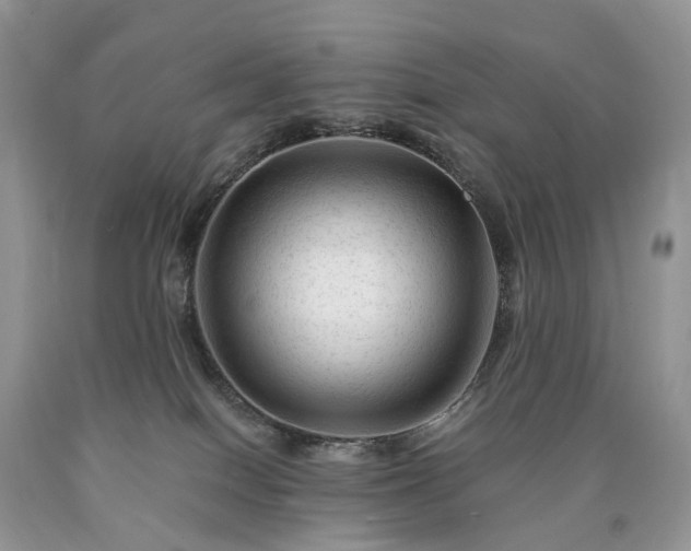 X0000090480086200707201424