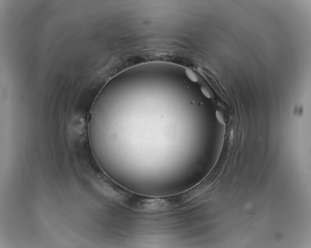 X0000090480087200707201424