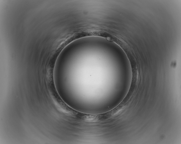 X0000090480088200707201424