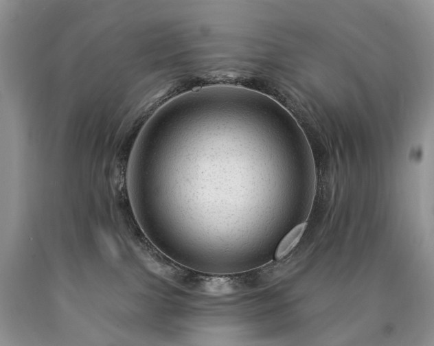 X0000090480091200707201424