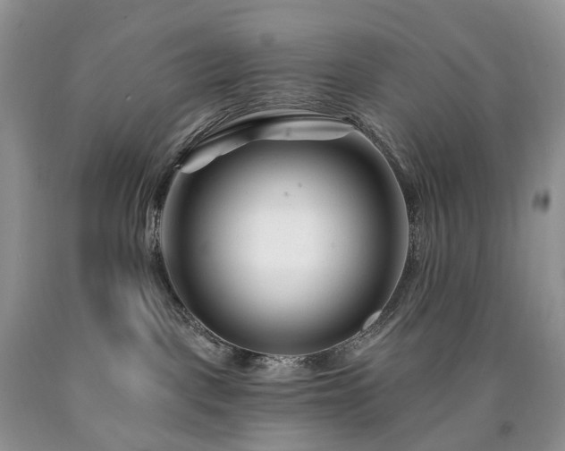 X0000090480093200707201424