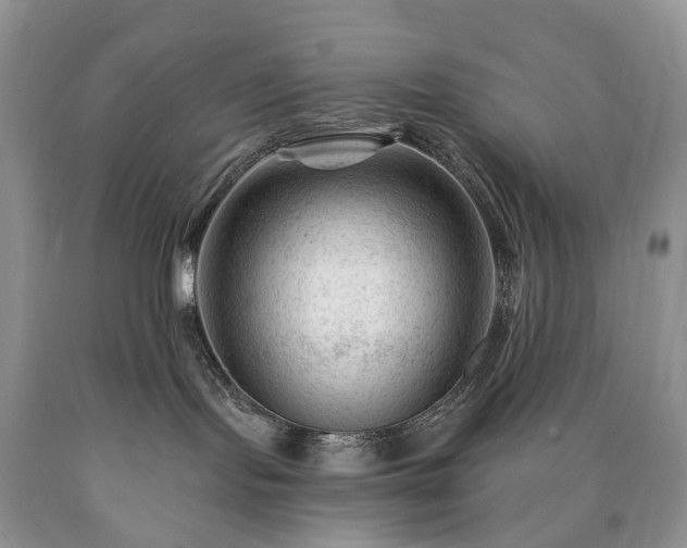 X0000090480095200707201425