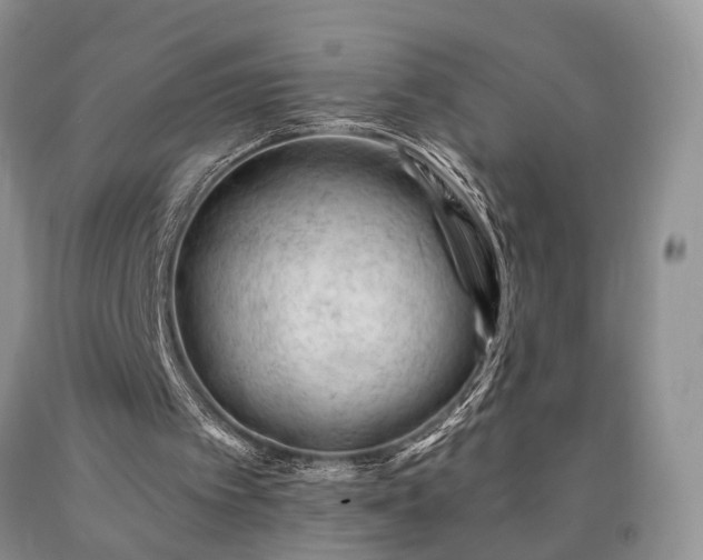 X0000090480097200707201424