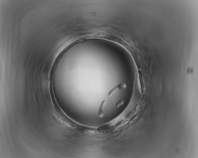 X0000090480100200707201424