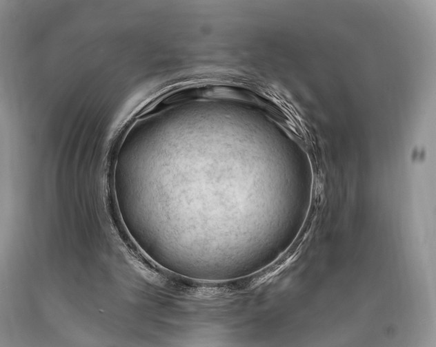 X0000090480101200707201424