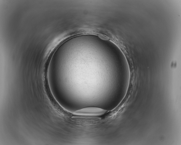 X0000090480103200707201424