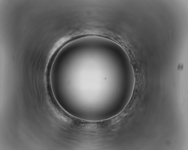 X0000090480104200707201424