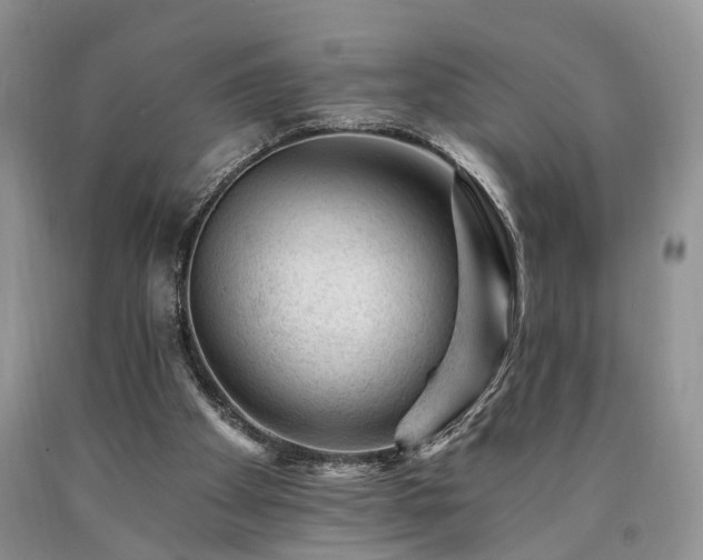 X0000090480105200707201424