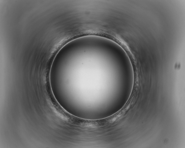 X0000090480106200707201424