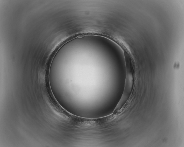 X0000090480108200707201424