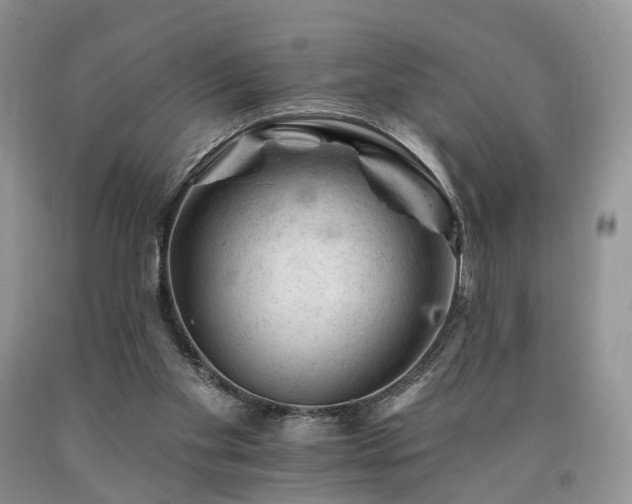 X0000090480109200707201424