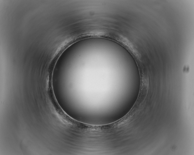 X0000090480110200707201424