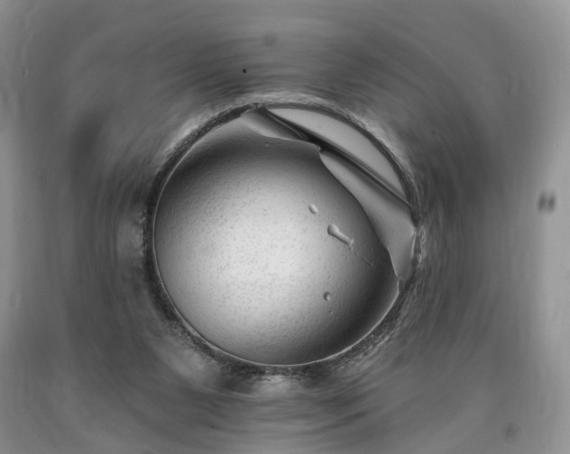 X0000090480111200707201424