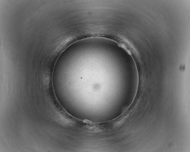 X0000090480113200707201424