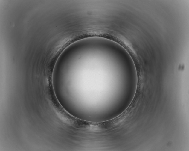 X0000090480114200707201424