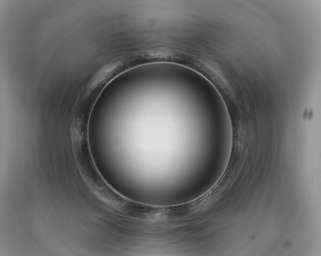 X0000090480116200707201424