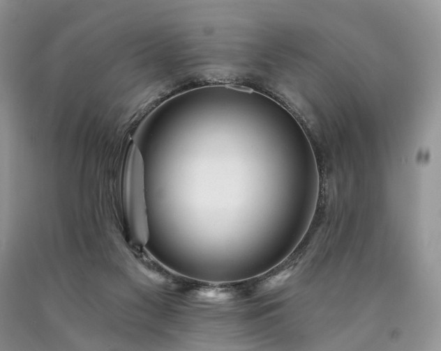 X0000090480117200707201424