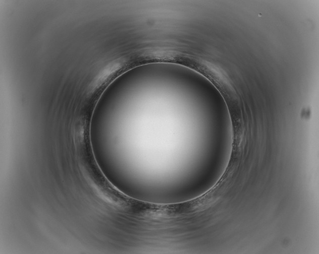 X0000090480120200707201424