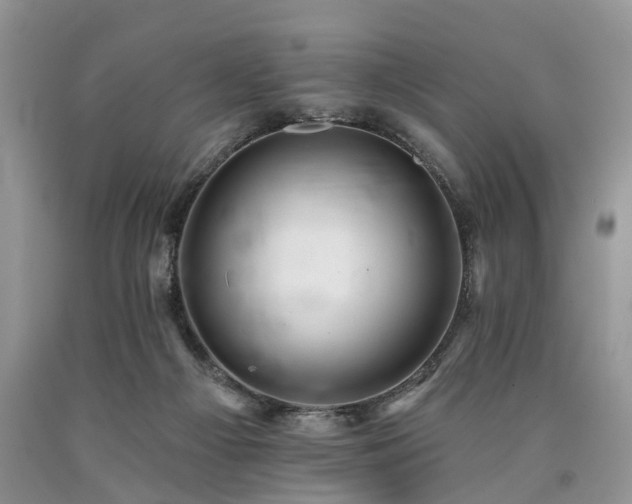 X0000090480121200707201424