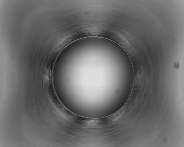 X0000090480122200707201424