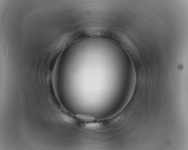 X0000090480125200707201424