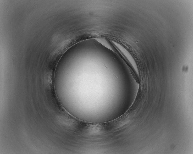 X0000090480127200707201424