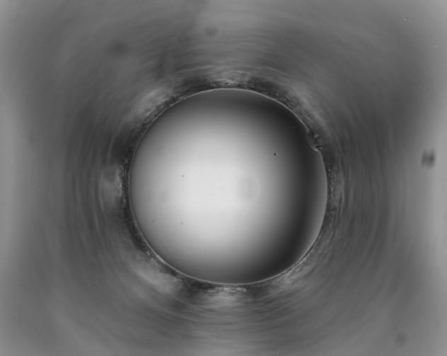 X0000090480128200707201424