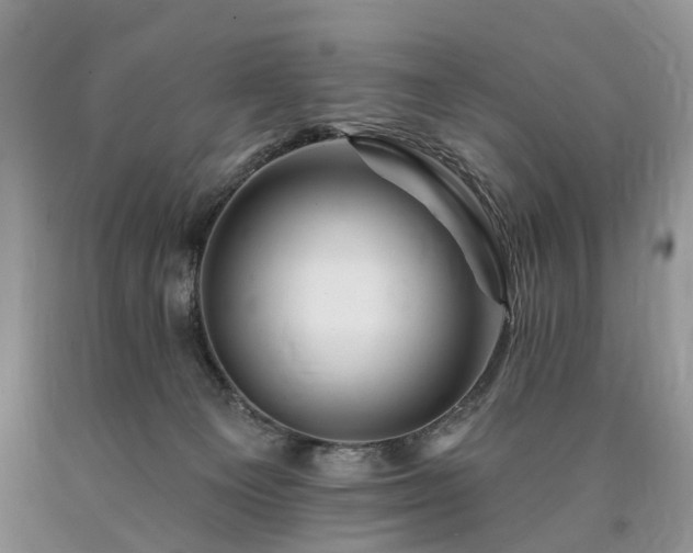 X0000090480129200707201424