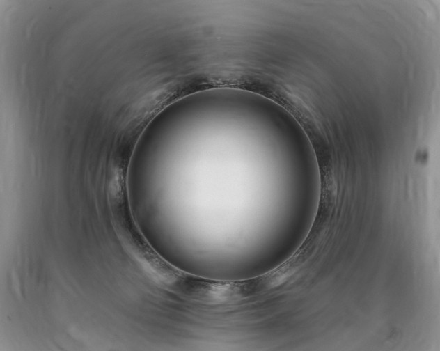 X0000090480130200707201423