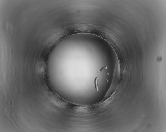 X0000090480132200707201423