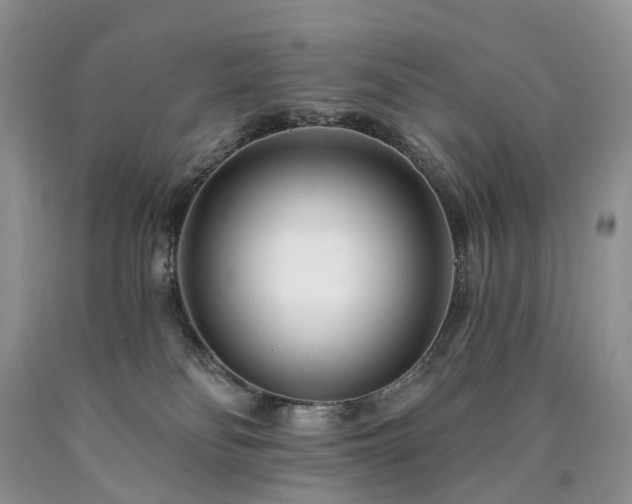 X0000090480134200707201423
