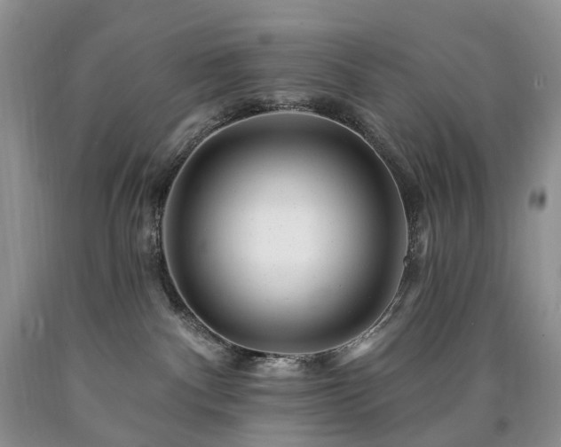 X0000090480140200707201423