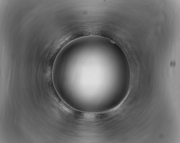 X0000090480144200707201423