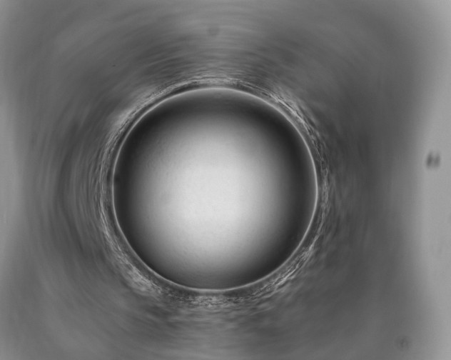 X0000090480145200707201423