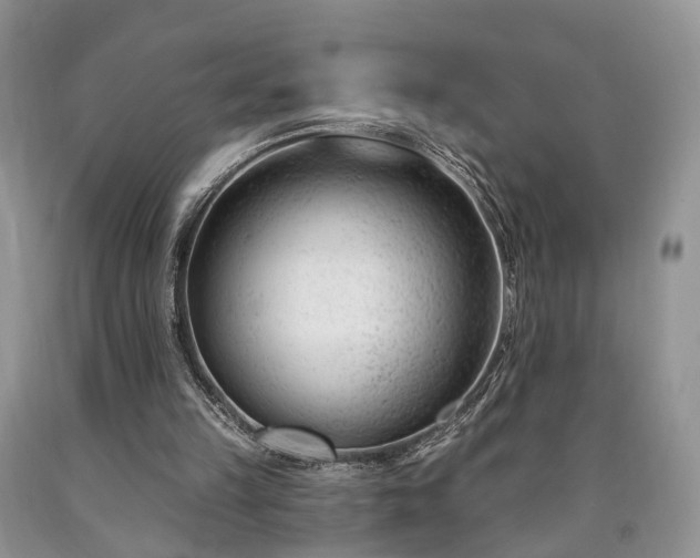 X0000090480149200707201423