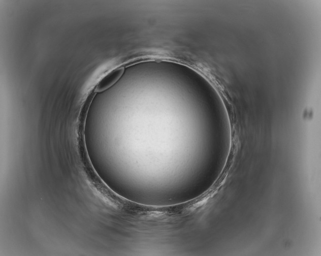 X0000090480151200707201423