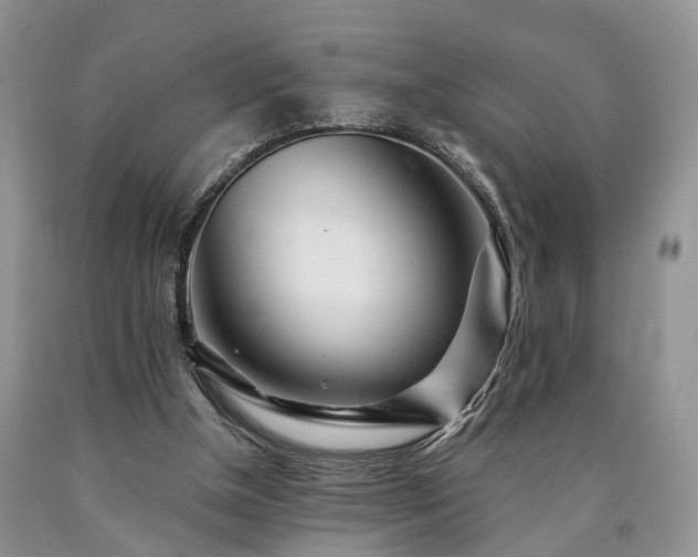 X0000090480154200707201423