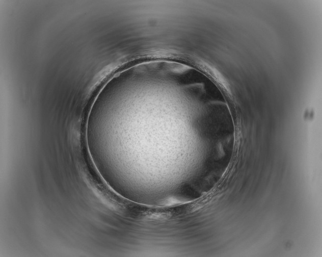 X0000090480155200707201423