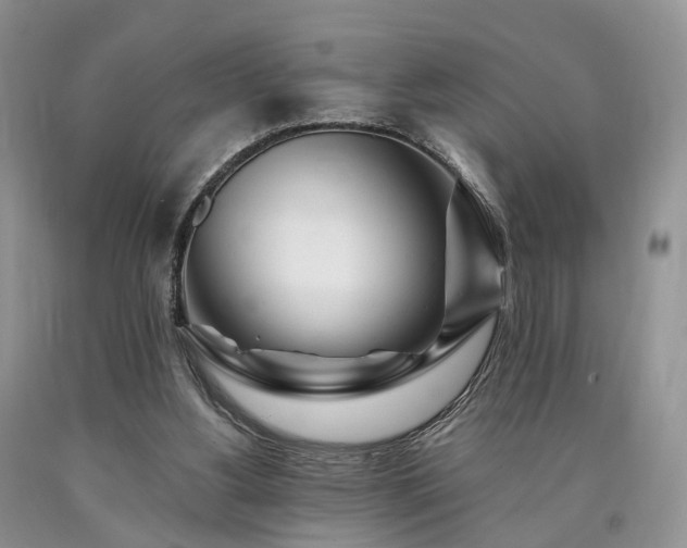X0000090480156200707201423