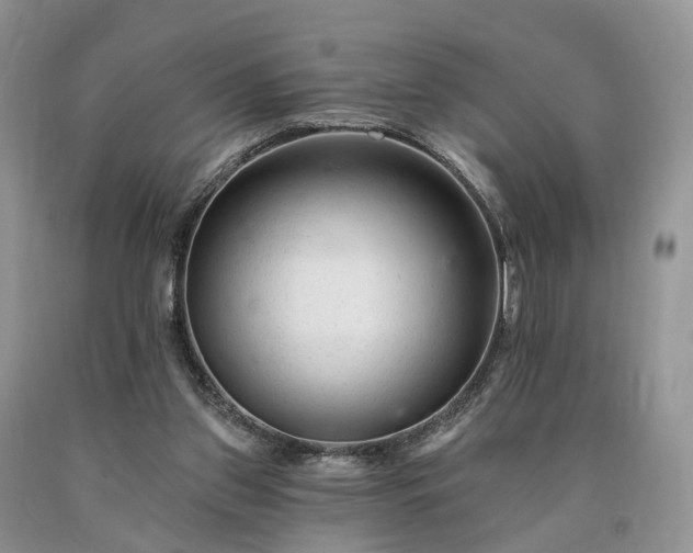 X0000090480157200707201423