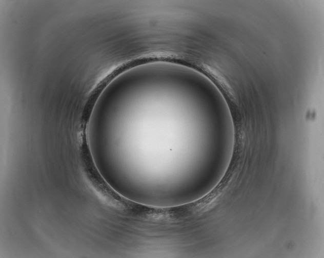 X0000090480160200707201423