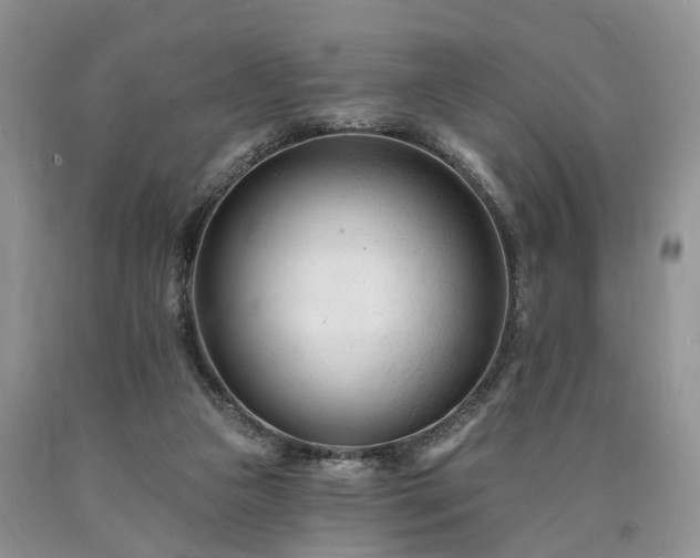 X0000090480161200707201423