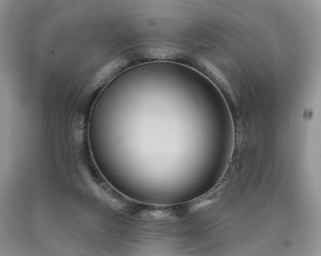 X0000090480163200707201423