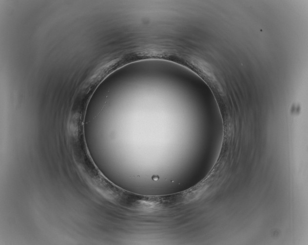 X0000090480167200707201423