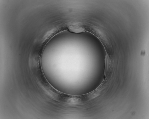 X0000090480168200707201423