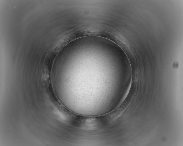 X0000090480173200707201423