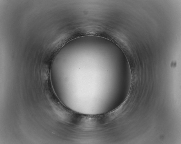 X0000090480174200707201423