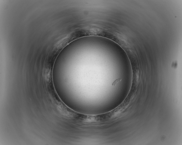 X0000090480177200707201423