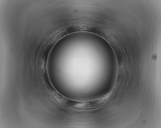 X0000090480178200707201423