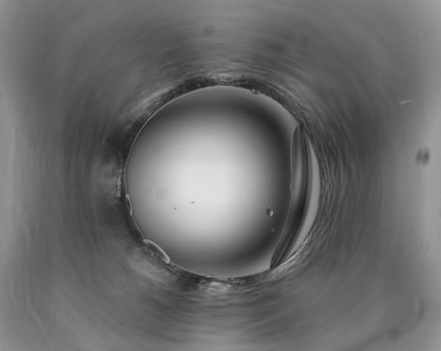 X0000090480180200707201423